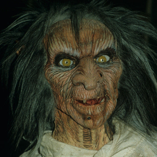 Ask Zelda from Terrahawks Anything!